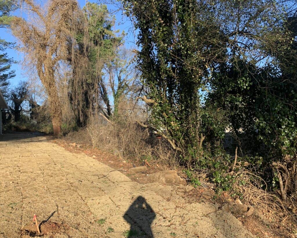 Samios Earth Solutions Residential land clearing north georgia before